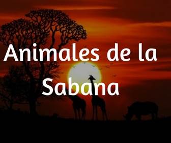 Animales de la Sabana